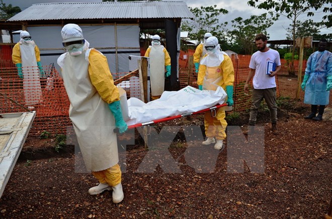 WHO Thêm nhiều người nhiễm Ebola ở Guinea và Sierra Leone